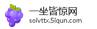 一坐皆惊网